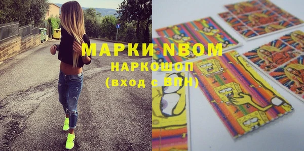 сатива Аркадак