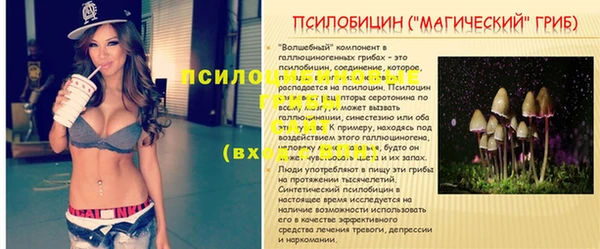сатива Аркадак