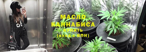 сатива Аркадак
