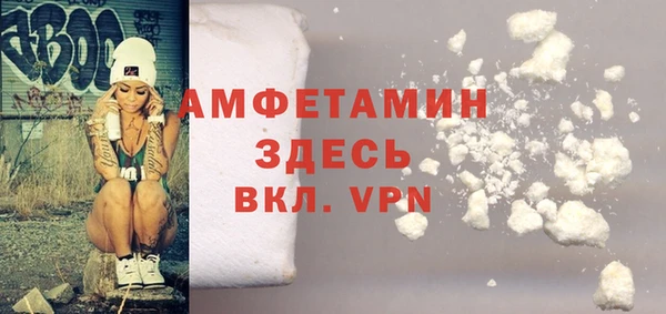 сатива Аркадак