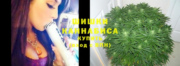 прущая мука Арсеньев