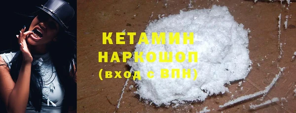 сатива Аркадак